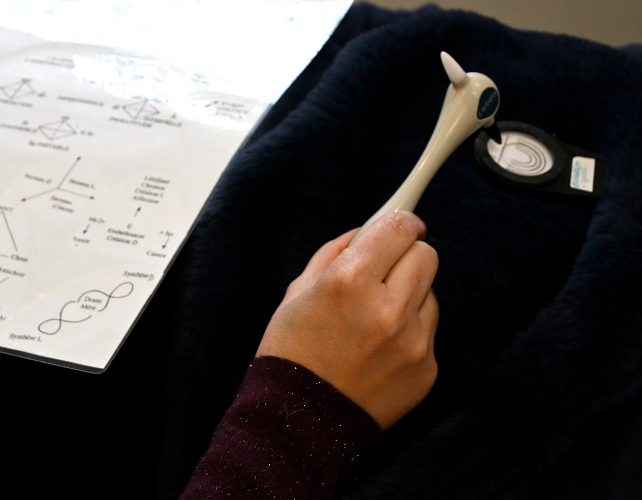 Gaelle Cuevas - outils étiomédecine